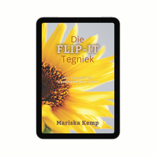 [e-A] Die Flip-It Tegniek {eboek}